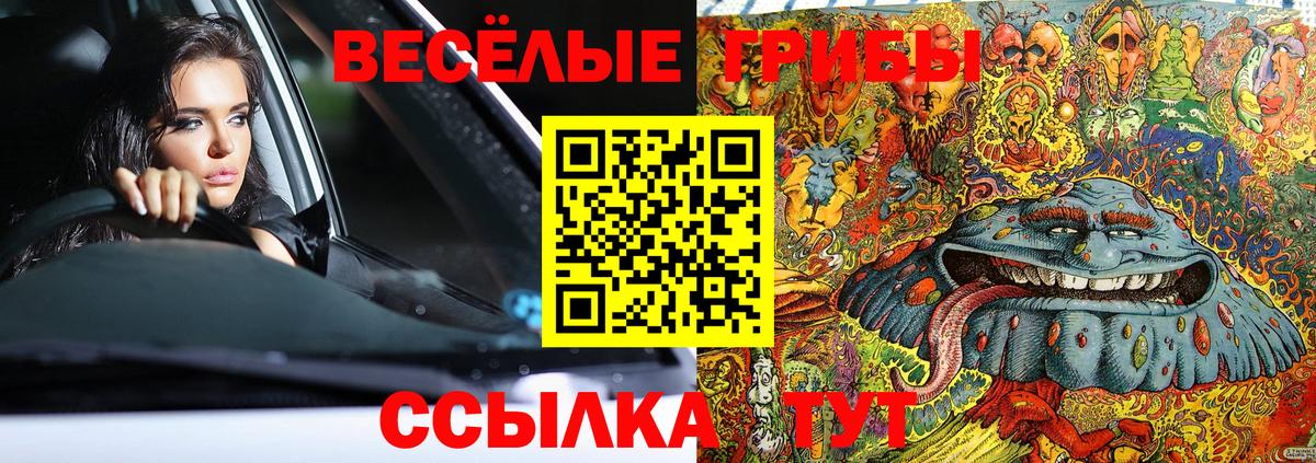 Псилоцибиновые грибы Psilocybe Видное