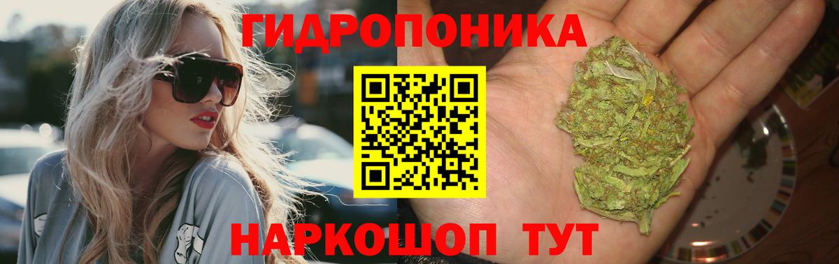 Марихуана Ganja  Марихуана Ganja  Видное  Вход с VPN  Бошки Шишки AK-47  Марихуана OG Kush 
